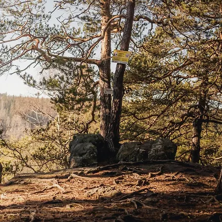 Daire Pod Gwiazdami, Z Dwoma Ogrodkami I Dwoma Tarasami Polanica-Zdroj