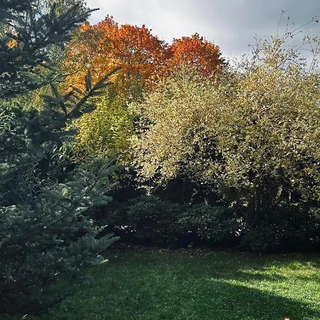 Pod Gwiazdami, Z Dwoma Ogrodkami I Dwoma Tarasami