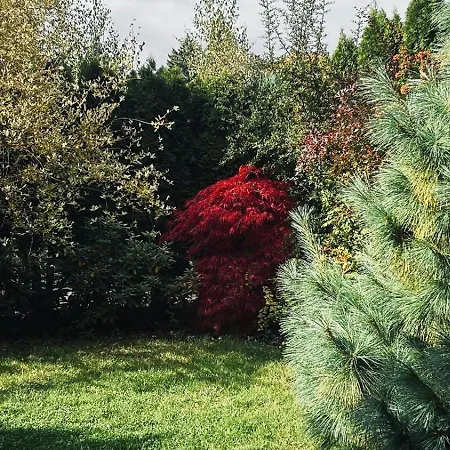 Appartement Pod Gwiazdami, Z Dwoma Ogrodkami I Dwoma Tarasami *