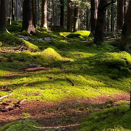 Pod Gwiazdami, Z Dwoma Ogrodkami I Dwoma Tarasami Appartement Polanica-Zdrój