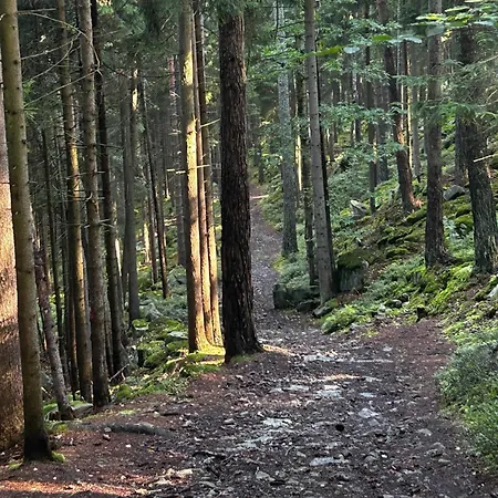 Pod Gwiazdami, Z Dwoma Ogrodkami I Dwoma Tarasami Appartement *