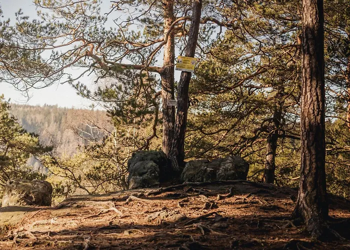 アパート Pod Gwiazdami, Z Dwoma Ogrodkami I Dwoma Tarasami ポラニツァ・ズドゥルイ