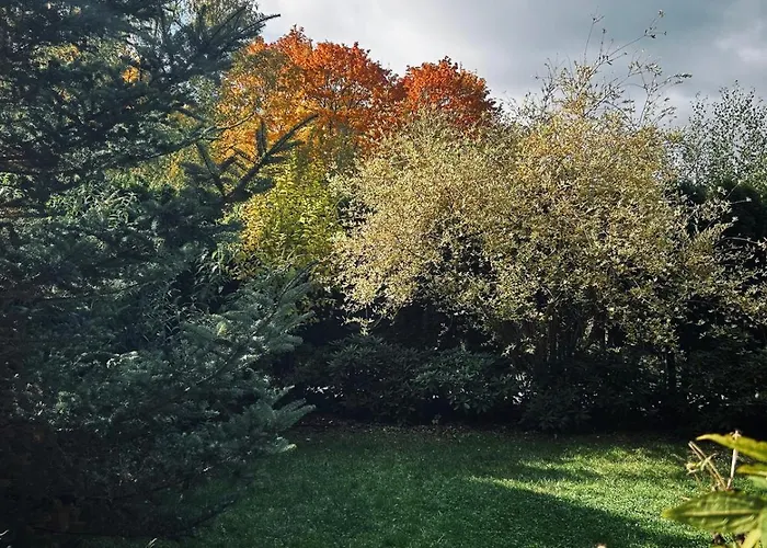 Pod Gwiazdami, Z Dwoma Ogrodkami I Dwoma Tarasami