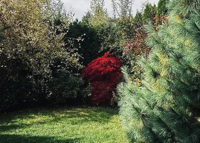 アパート Pod Gwiazdami, Z Dwoma Ogrodkami I Dwoma Tarasami *